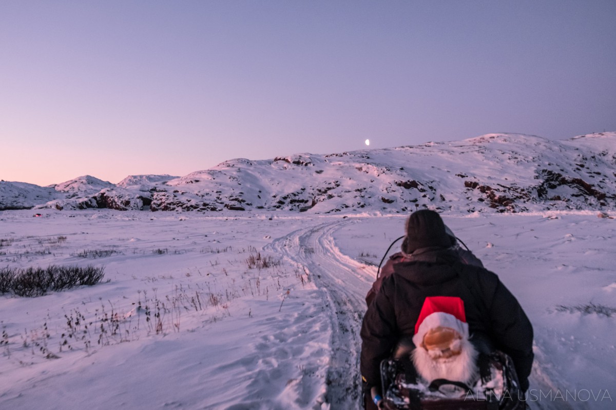 Новогоднее приключение в Арктике (5/8)