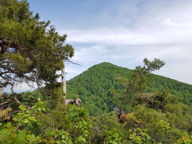 Большой поход по горам Сочи (3/12)