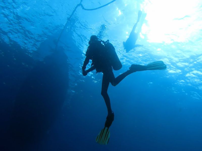 Дайвинг в окрестностях Лиссабона (6/7)