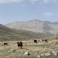Фото отзыва 3: экскурсия "Завораживающий мир Горной Осетии" Фото отзыва 3: экскурсия "Завораживающий мир Горной Осетии"