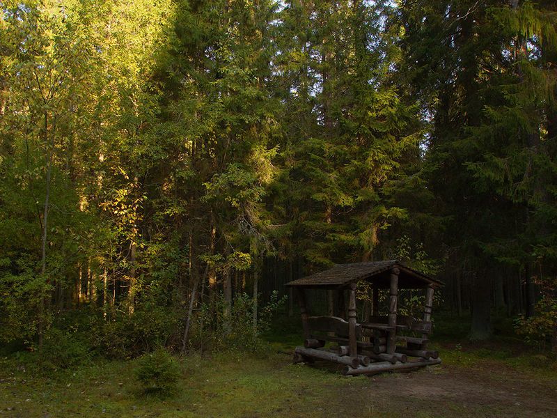 Секреты Линдуловской рощи (6/7)