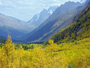 Фото 3 - Экскурсия: "Домбай — душа Кавказских гор" Фото 3 - Экскурсия: "Домбай — душа Кавказских гор"