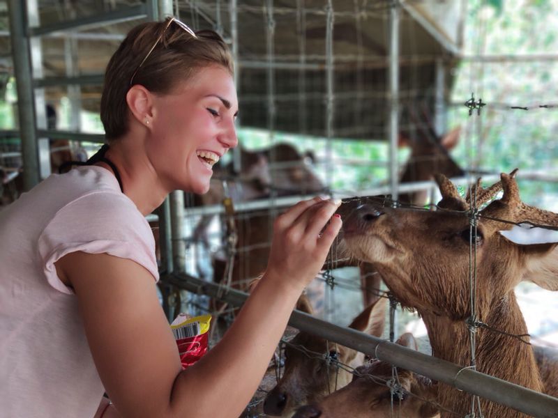 Мототур «Южный отрыв» (12/18)