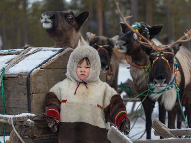 Фото 3 - Экскурсия: "Люди Севера: групповая экскурсия в стойбище оленеводов" Фото 3 - Экскурсия: "Люди Севера: групповая экскурсия в стойбище оленеводов"