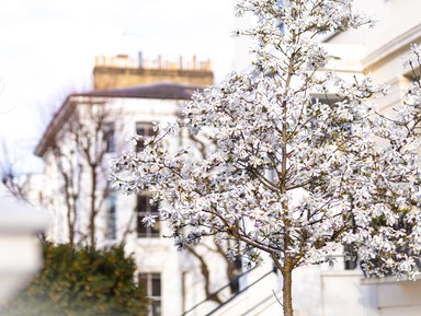 Фото - Экскурсия: "Элегантный Лондон: прогулка по району Holland Park" Фото - Экскурсия: "Элегантный Лондон: прогулка по району Holland Park"