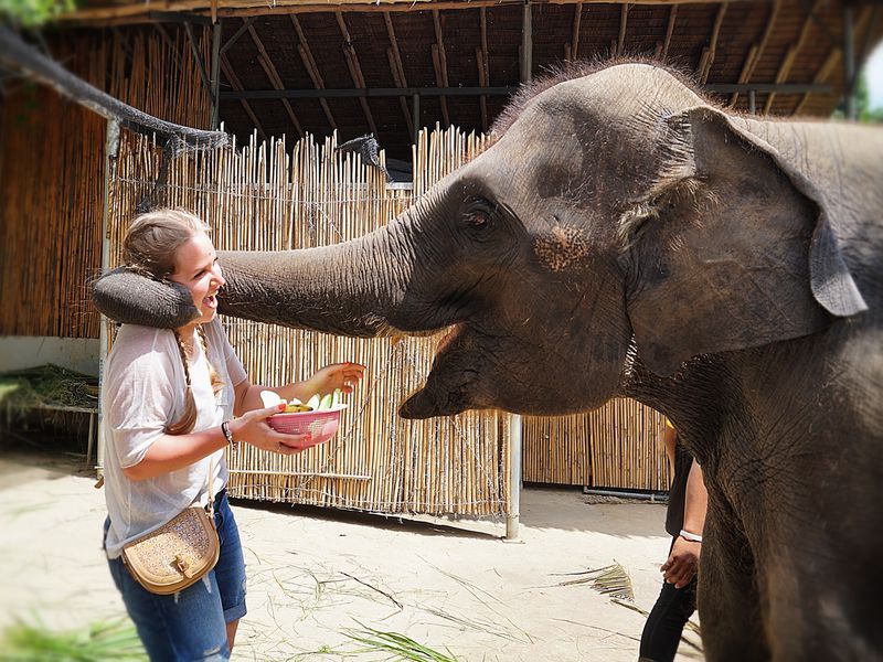 Мототур «Южный отрыв» (4/18)