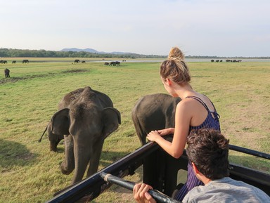 Сафари в национальном парке Миннерия