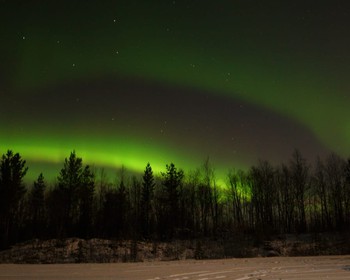 Фото 4 авторского тура - день 1 "Олени, хаски и северное сияние" Фото 4 авторского тура - день 1 "Олени, хаски и северное сияние"