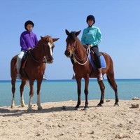 Фото отзыва 1: экскурсия "Конные прогулки по пустыне и к Красному морю" Фото отзыва 1: экскурсия "Конные прогулки по пустыне и к Красному морю"