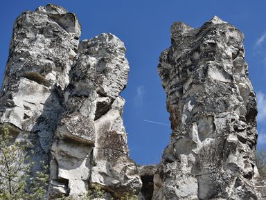 Фото - Экскурсия: "Путешествие в Дивногорье — парк мелового периода" Фото - Экскурсия: "Путешествие в Дивногорье — парк мелового периода"