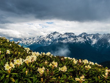 Фото 3 - Экскурсия: "Красная Поляна 2в1: фотосессия и экскурсия" Фото 3 - Экскурсия: "Красная Поляна 2в1: фотосессия и экскурсия"