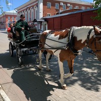 Фото отзыва 3: экскурсия "Мифы и предания Коломенской земли" Фото отзыва 3: экскурсия "Мифы и предания Коломенской земли"
