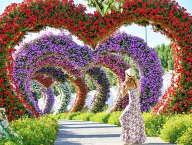 Фото 3 - Экскурсия: "Современный Дубай, Парк цветов и Global Village" Фото 3 - Экскурсия: "Современный Дубай, Парк цветов и Global Village"