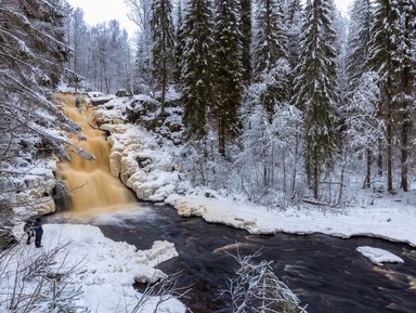 Фото - Экскурсия: "Из Сортавалы — к водопадам, гранатам и дружелюбным хаски!" Фото - Экскурсия: "Из Сортавалы — к водопадам, гранатам и дружелюбным хаски!"