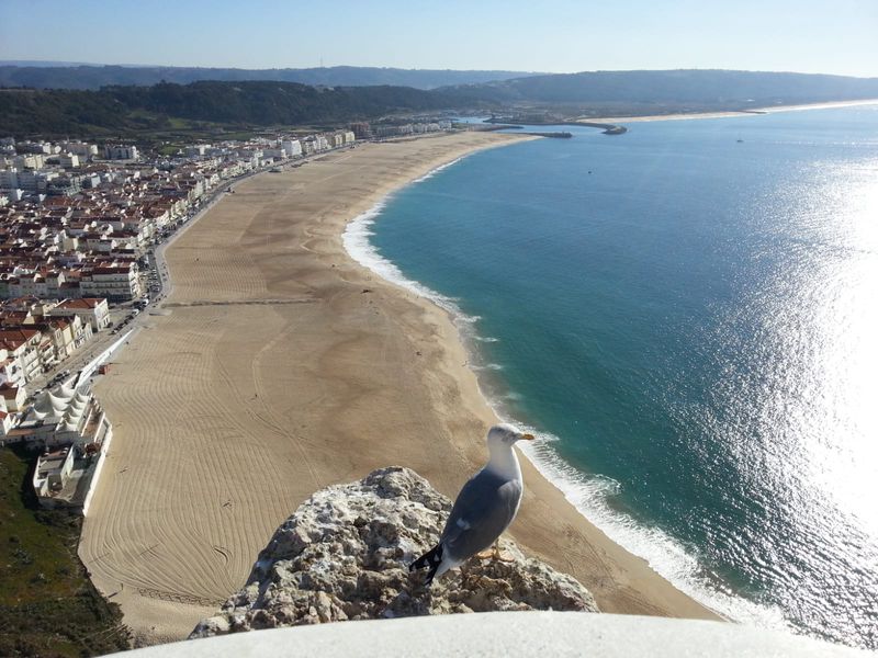 Шарм португальской провинции (16/18)