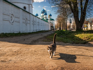 Фото - Экскурсия: "Углич — душа русской провинции"