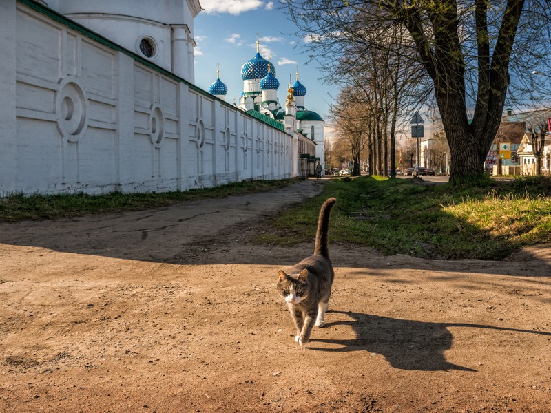 Углич — душа русской провинции