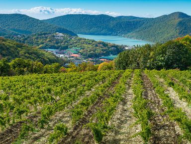 Фото - Экскурсия: "Великолепие Абрау-Дюрсо" Фото - Экскурсия: "Великолепие Абрау-Дюрсо"
