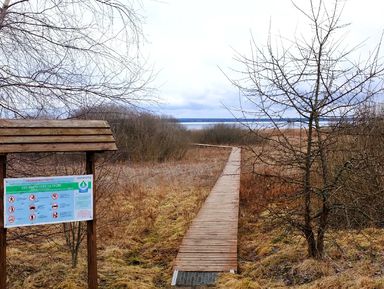 Фото 3 - Экскурсия: "Прогулка по экотропе «В гостях у серой цапли»" Фото 3 - Экскурсия: "Прогулка по экотропе «В гостях у серой цапли»"