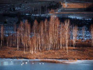 Фото 3 - Экскурсия: "Треккинг по Изборско-Мальской долине" Фото 3 - Экскурсия: "Треккинг по Изборско-Мальской долине"