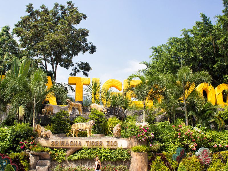 День открытий в Паттайе: сафари-парк, плантации и храмы (12/26)