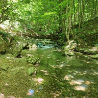 Фото отзыва 1: экскурсия "Большой каньон: осени крымской цветной палантин" Фото отзыва 1: экскурсия "Большой каньон: осени крымской цветной палантин"