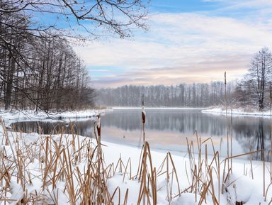 Фото - Экскурсия: "Незамерзающие Голубые озера" Фото - Экскурсия: "Незамерзающие Голубые озера"