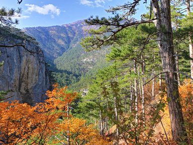 Фото - Экскурсия: "По заповеднику Крыма на внедорожнике" Фото - Экскурсия: "По заповеднику Крыма на внедорожнике"