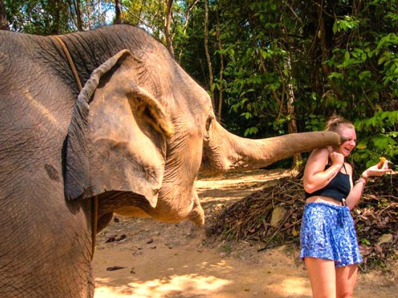 День активных развлечений в Као Лаке! (8/9)