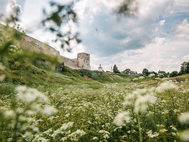 Фото 3 - Экскурсия: "Псков, Изборск и Печоры: групповая авто-пешеходная экскурсия" Фото 3 - Экскурсия: "Псков, Изборск и Печоры: групповая авто-пешеходная экскурсия"