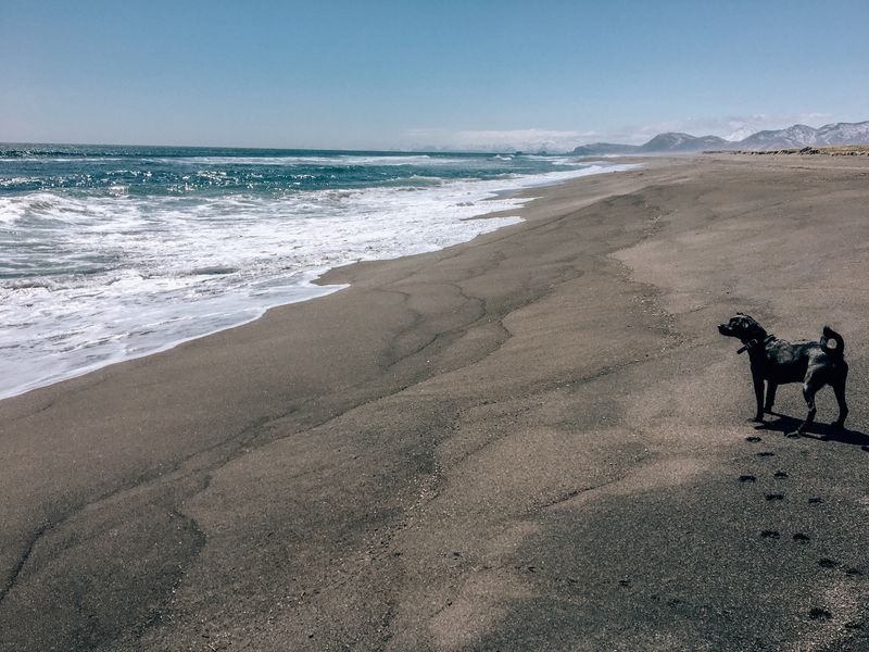 Путешествие к  берегу Тихого океана (2/9)