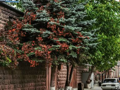 Фото 3 - Экскурсия: "Гюмри — северная столица Армении" Фото 3 - Экскурсия: "Гюмри — северная столица Армении"
