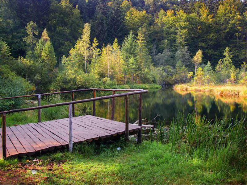 Из Львова — к вершинам Карпатских гор (2/7)