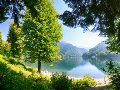 Фото - Экскурсия: "Альпийские луга и озеро Мзы" Фото - Экскурсия: "Альпийские луга и озеро Мзы"