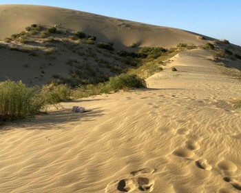 Сулакский каньон, голубое водохранилище и пустыня