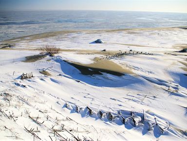 Фото 3 - Экскурсия: "Главные и неизведанные тропы Куршской косы по максимуму" Фото 3 - Экскурсия: "Главные и неизведанные тропы Куршской косы по максимуму"