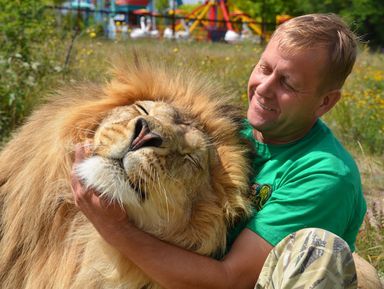 Фото 3 - Экскурсия: "Парк львов «Тайган»: путешествие в крымскую Африку" Фото 3 - Экскурсия: "Парк львов «Тайган»: путешествие в крымскую Африку"
