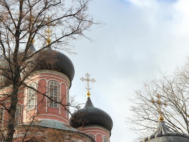 Фото - Экскурсия: "Донской монастырь — Сен-Жерменское предместье старой Москвы" Фото - Экскурсия: "Донской монастырь — Сен-Жерменское предместье старой Москвы"