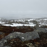 Фото отзыва 1: экскурсия "Из Мурманска — на Белое море!" Фото отзыва 1: экскурсия "Из Мурманска — на Белое море!"