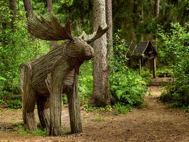 Фото - Экскурсия: "Велопрогулка по Куршской косе с историком" Фото - Экскурсия: "Велопрогулка по Куршской косе с историком"