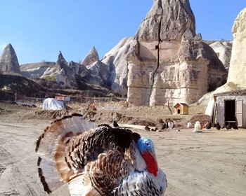 Велопрогулка по долине Любви, переезд в Памуккале