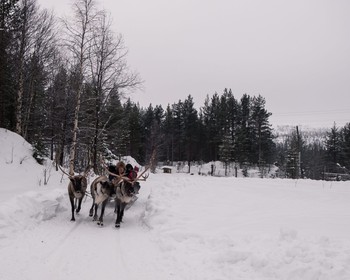 Фото 4 авторского тура - день 2 "«Огни Имандры» и «Снежная деревня»" Фото 4 авторского тура - день 2 "«Огни Имандры» и «Снежная деревня»"