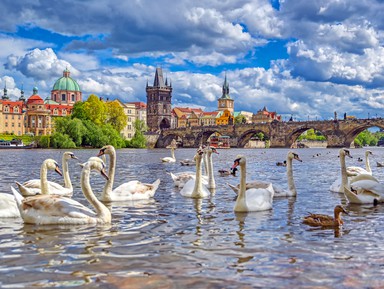Фото - Экскурсия: "Ваш идеальный день в Праге" Фото - Экскурсия: "Ваш идеальный день в Праге"