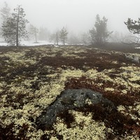 Фото отзыва 2: экскурсия "Из Мурманска — на Белое море!" Фото отзыва 2: экскурсия "Из Мурманска — на Белое море!"