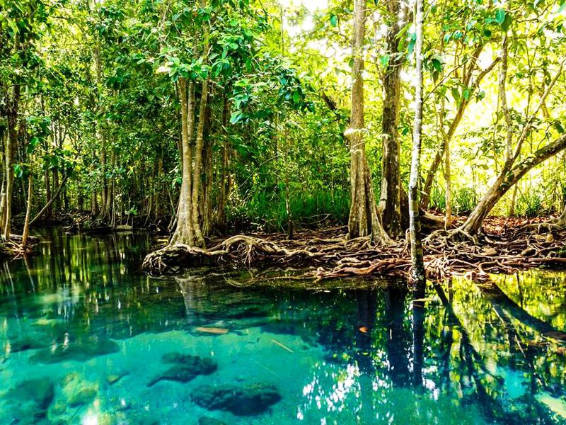 Путешествие к Изумрудному озеру и Храму Тигра (8/15)