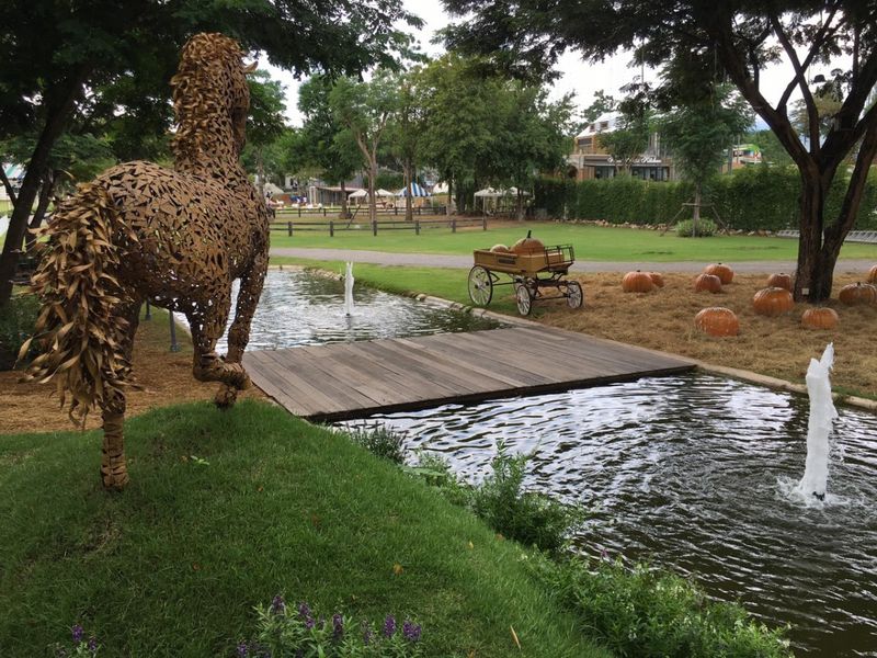 Автобусная экскурсия из Паттайи в Альпака Парк и Землю Королей (6/11)