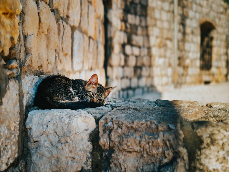 Дубровник как на ладони! (13/14)