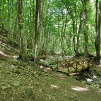 Фото отзыва 2: экскурсия "Большой каньон: осени крымской цветной палантин" Фото отзыва 2: экскурсия "Большой каньон: осени крымской цветной палантин"