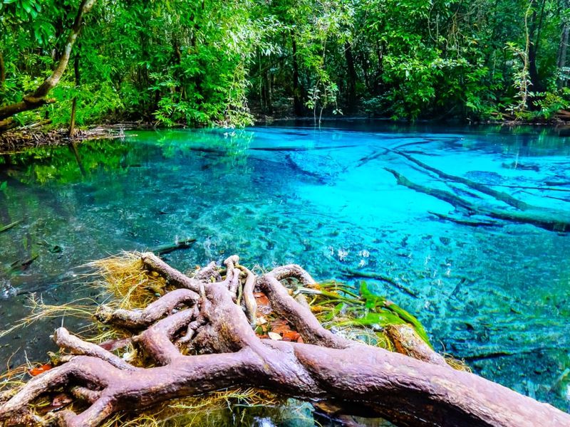 Путешествие к Изумрудному озеру и Храму Тигра (2/15)