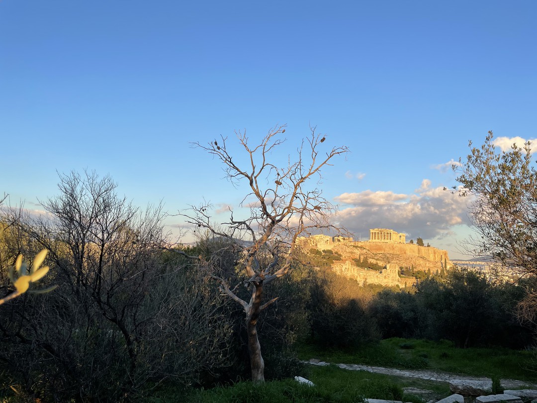 Афины для маленьких и больших исследователей (Анастасия)